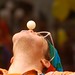 David Scheid Photo 12