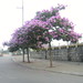 Tim Lang Photo 14