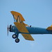 Mary Stearman Photo 7