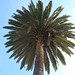 Christine Eckert Photo 1