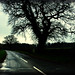Misty Hays Photo 9
