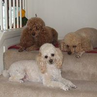 Sandy Gruber Photo 26
