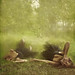 Natasha Chambers Photo 6