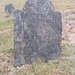 Theodore Gabel Photo 6