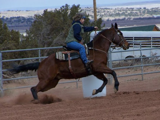 Cheryl Belcher Photo 9