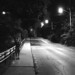 Mark Texter Photo 4