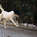Thelma Fox Photo 6