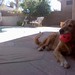 Robyn Tucker Photo 7
