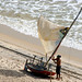 Piedade Vaz Photo 5