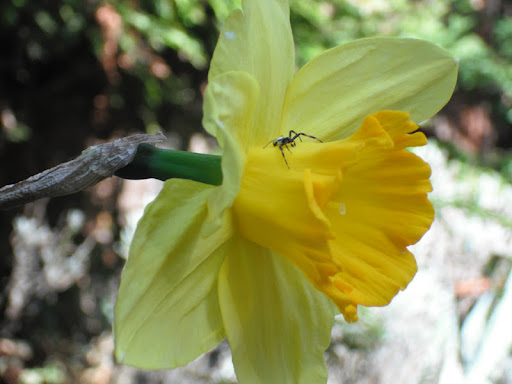 Ann Erickson Photo 54