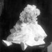 Charles Fricke Photo 4