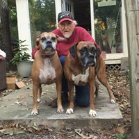Dennis Bowman Photo 27