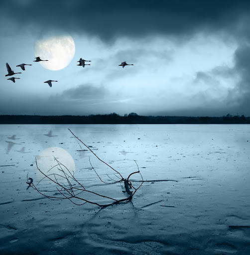 Ping Feng Photo 17
