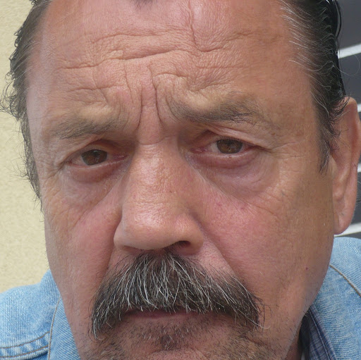 Francois Pellerin Photo 3