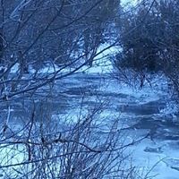 Heather Mcmurdie Photo 1