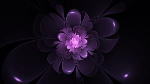Violet Stone Photo 22