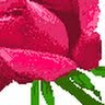 Flor Gamboa Photo 20