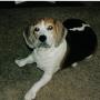 Linda Lassiter Photo 10