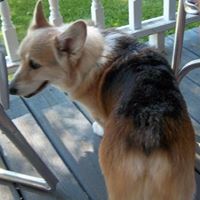 Maryann Weber Photo 12
