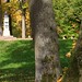 Paul Trunk Photo 5