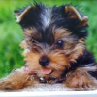 Brenda Cates Photo 20