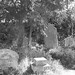 Ernest Abney Photo 3