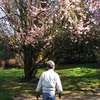 Kazuo Ozawa Photo 2