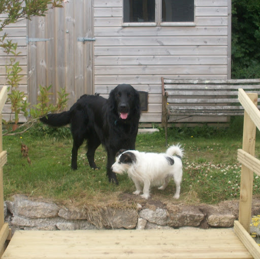 Fiona Woodman Photo 2
