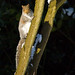 Jan Stroud Photo 8