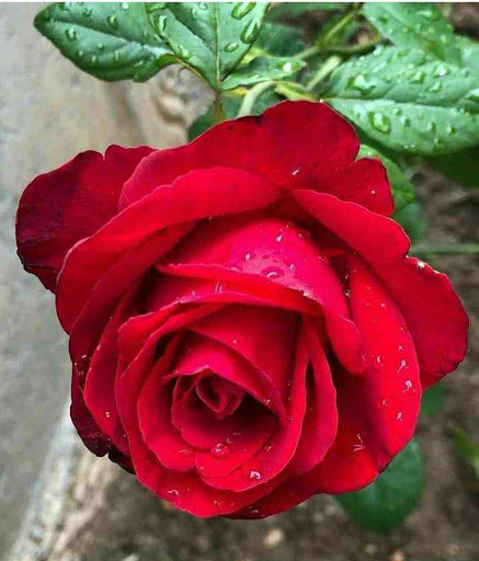 Rita Rathod Photo 7