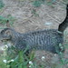 Kitty Yau Photo 4