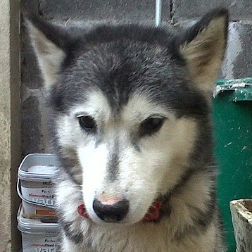 Mya Maiden Photo 6