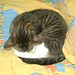 Gary Bett Photo 3
