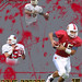Dave Ragone Photo 8