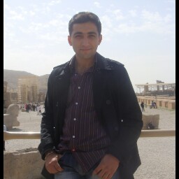 Mehdi Ashrafi Photo 16