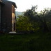 Maria Poggio Photo 7