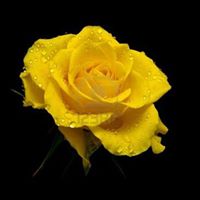 Rose Peterson Photo 14