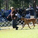 Ann Scarbrough Photo 6