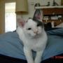 Lisa Stroh Photo 31