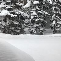 Amy Dowling Photo 29