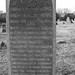 William Fisk Photo 12
