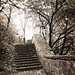 Lawrence Parks Photo 10
