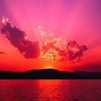 Wasim Gul Photo 8