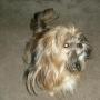 Missy Blevins Photo 13