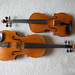 Viola Lee Photo 6