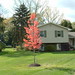 Jason Plant Photo 13