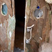 Judy Griswold Photo 12