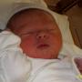 Tammy Gorman Photo 25