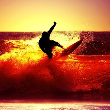 Harry Nolan Photo 26