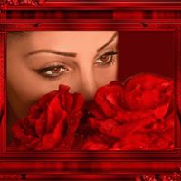 Rami Dalal Photo 8